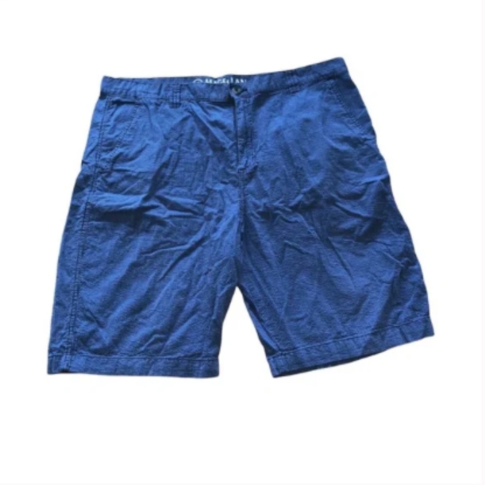 Men's Magellan Blue Striped Shorts